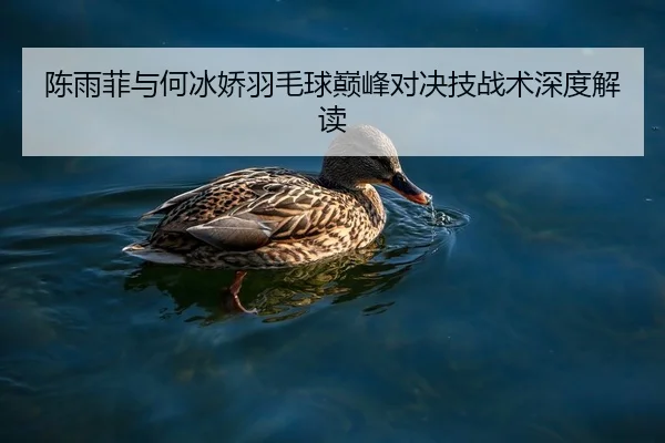 陈雨菲与何冰娇羽毛球巅峰对决技战术深度解读（s16esports）